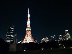 Tokyo Tower2