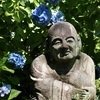 紫陽花と羅漢像