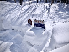 雪に埋もれる