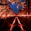 目黒川の桜・FAINAL