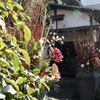 川越散歩6