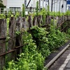 木製線路柵