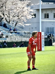 桜が見守った男