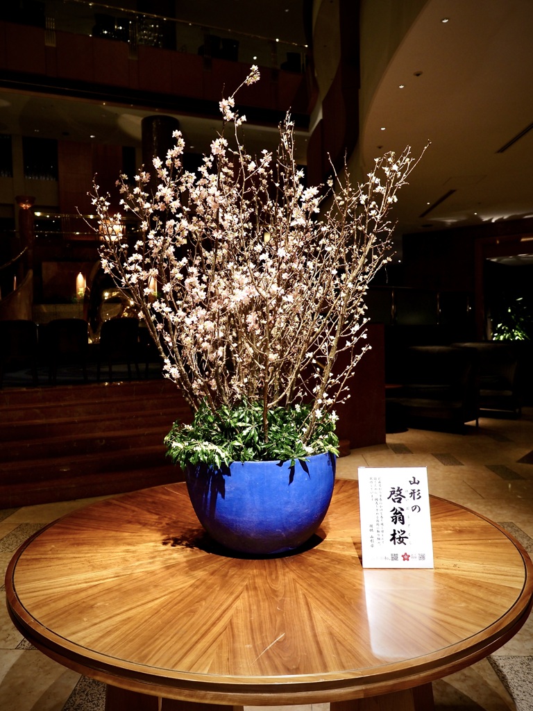 桜