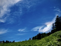 焼額山トレッキング・彩雲