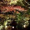 夜の日本庭園