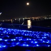 青い光の海に月灯り