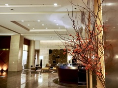 グランド ハイアット 東京