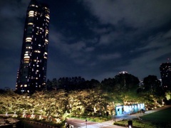 翠ジンソーダ MIDPARK LOUNGE