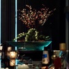 夜の花