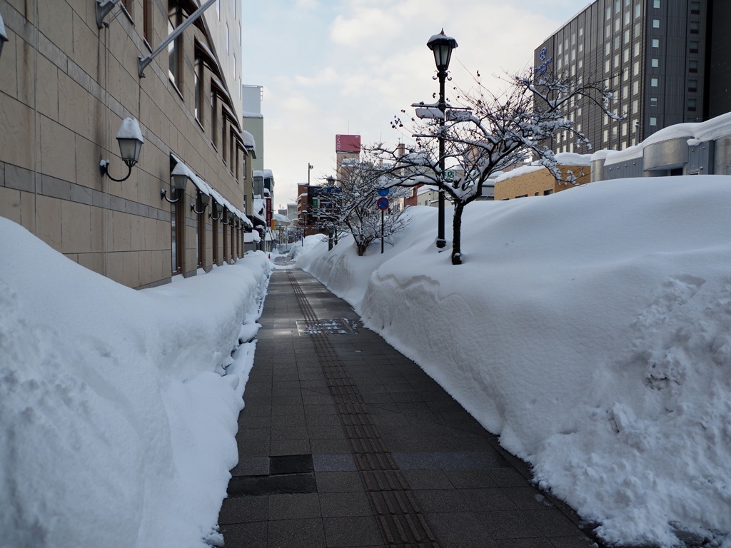 青森市内も雪の中