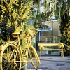 MIMOSA FESTA 2025 エレベーター前