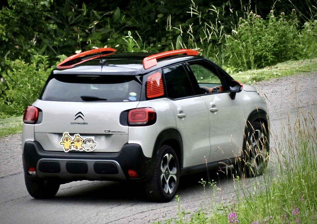 CITROËN C3 AIRCROSS SUV CUIR2