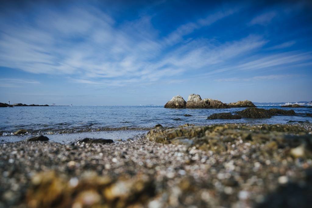 冬晴れ、あっぱれ。