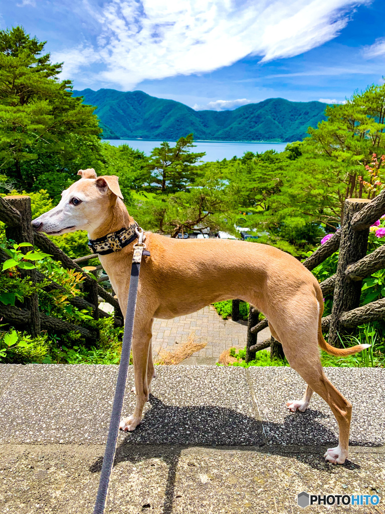 颯爽と！