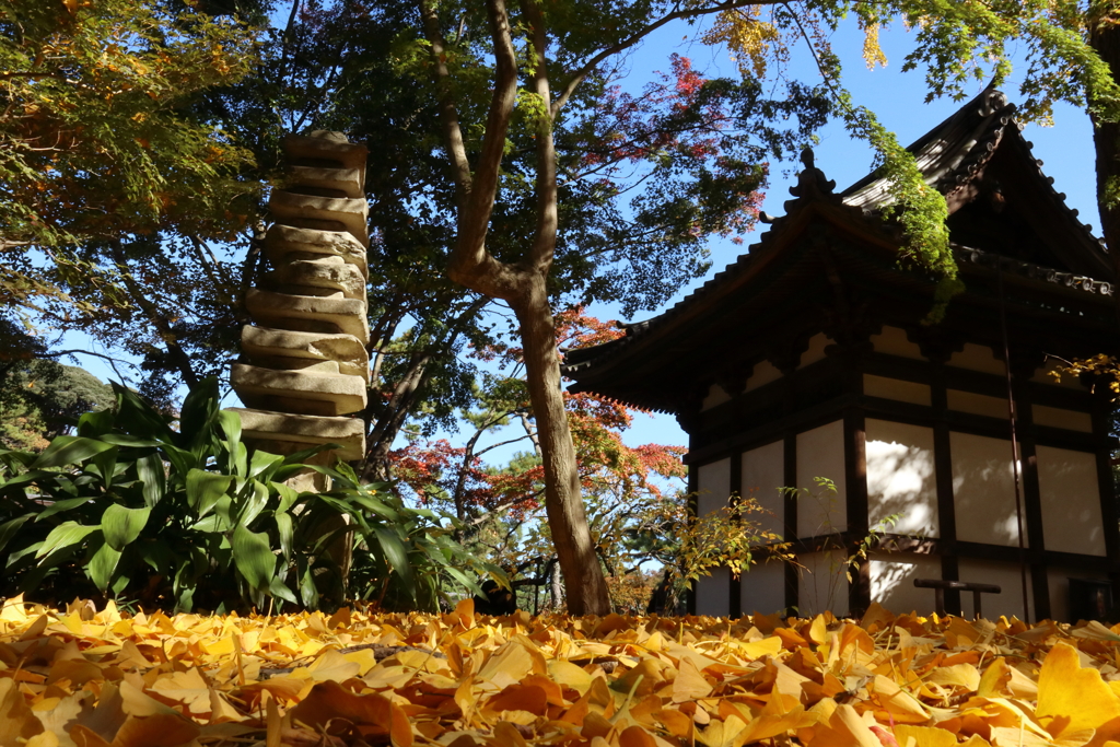 三渓園にて