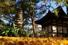 三渓園にて