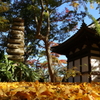 三渓園にて