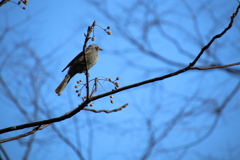 東高根公園にて