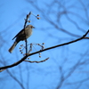 東高根公園にて