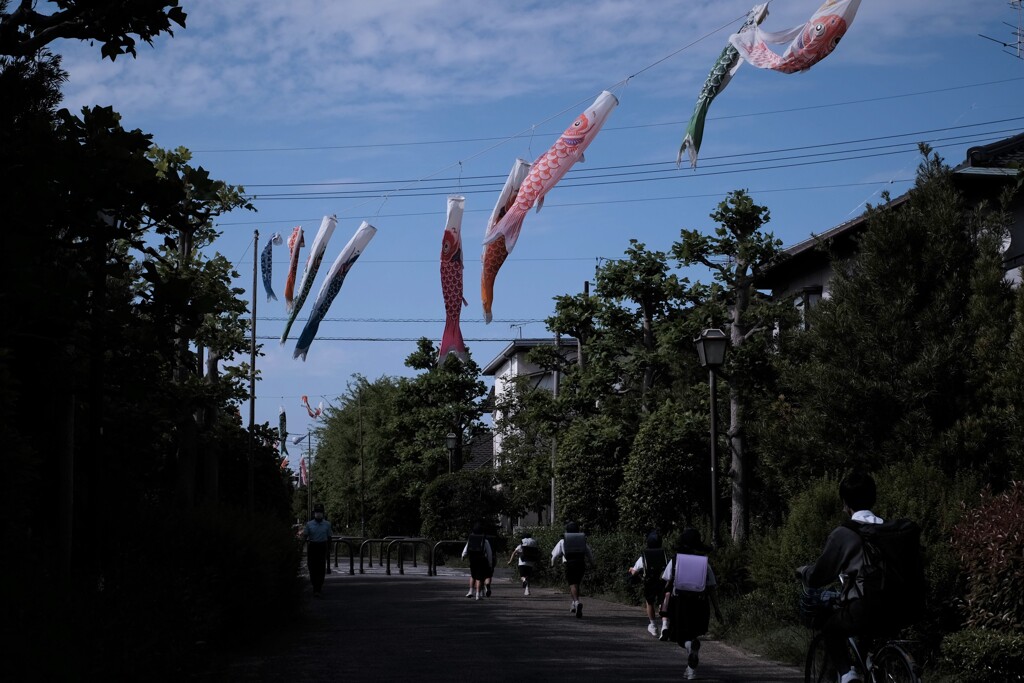 5月の家路に