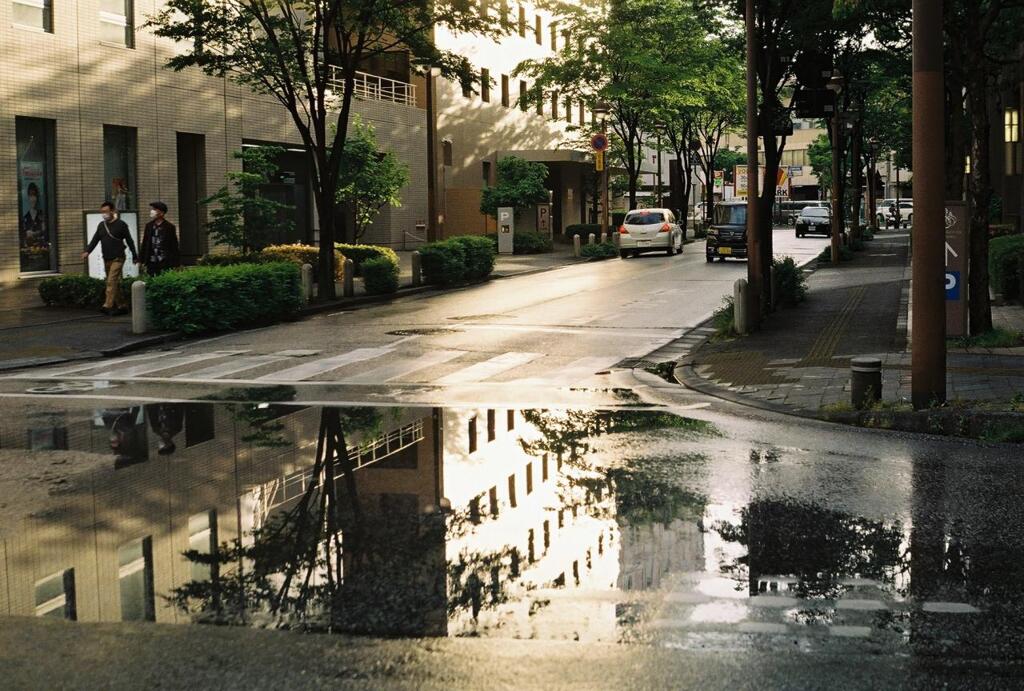 雨上がり