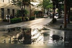 雨上がり