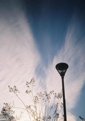 冬の空