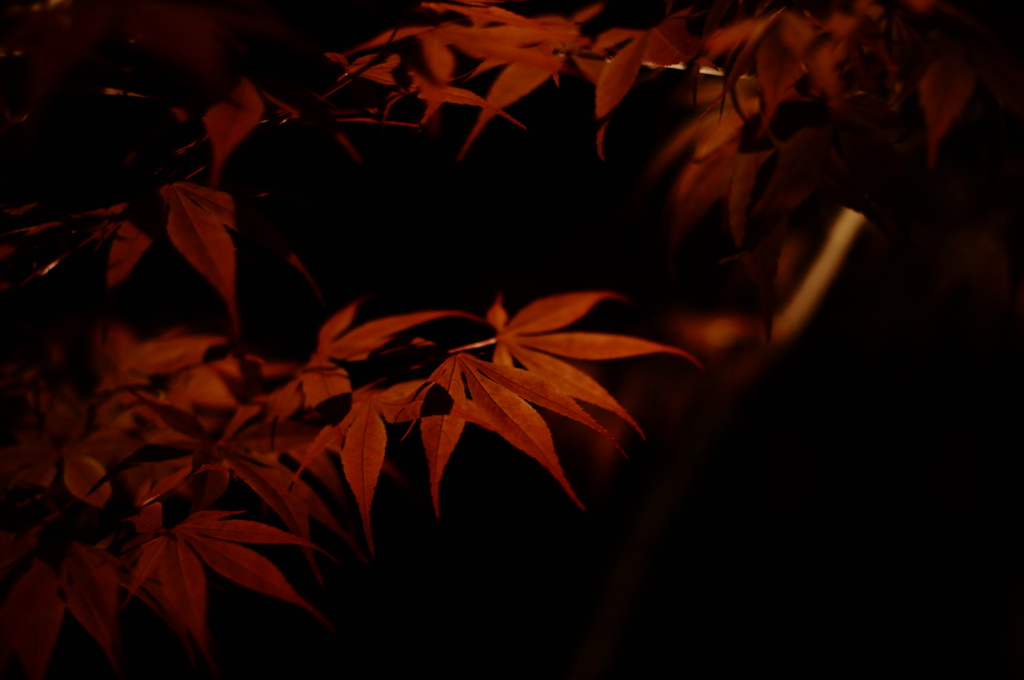 春紅