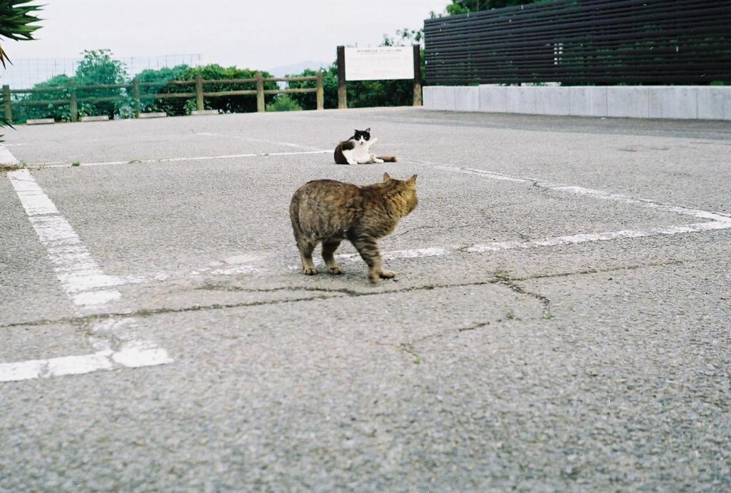 えっ､何？