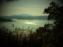 瀬戸の海