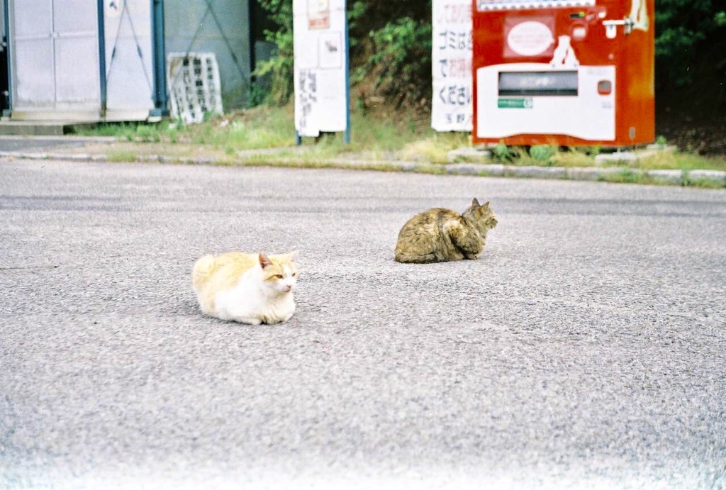 駐車場の置物