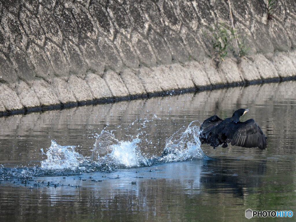 ポップ・ステップ・ジャンプ３