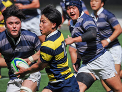 関西大学ラグビー