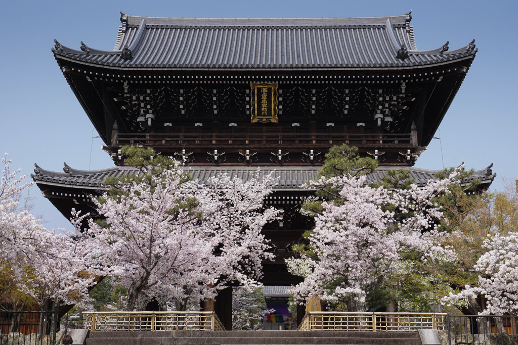 黒谷さん　金戒光明寺