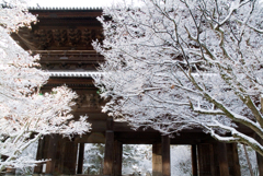雪の南禅寺　