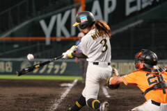 女子野球の阪神巨人戦