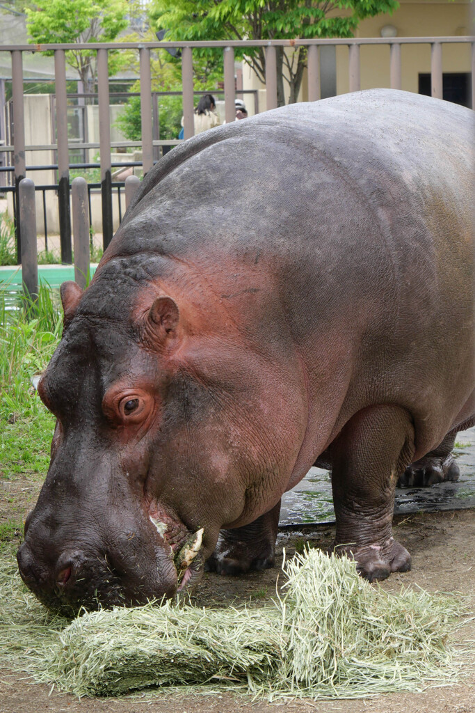 P1082182