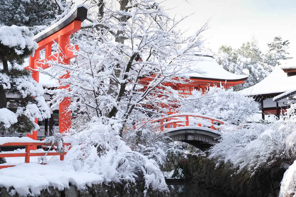 下鴨神社