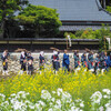 大原女祭