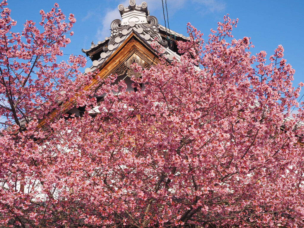 長徳寺