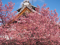 長徳寺