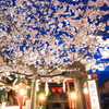 辰巳大明神