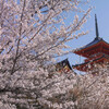 清水寺