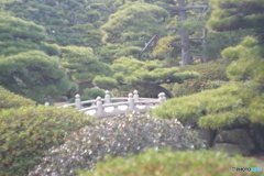 玉藻公園