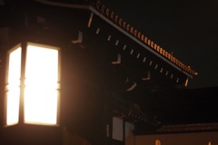 ナイトウォーク
