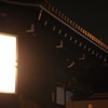 ナイトウォーク