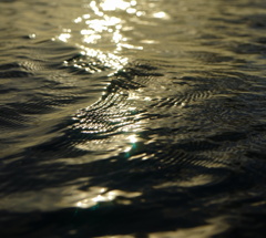 水面の光