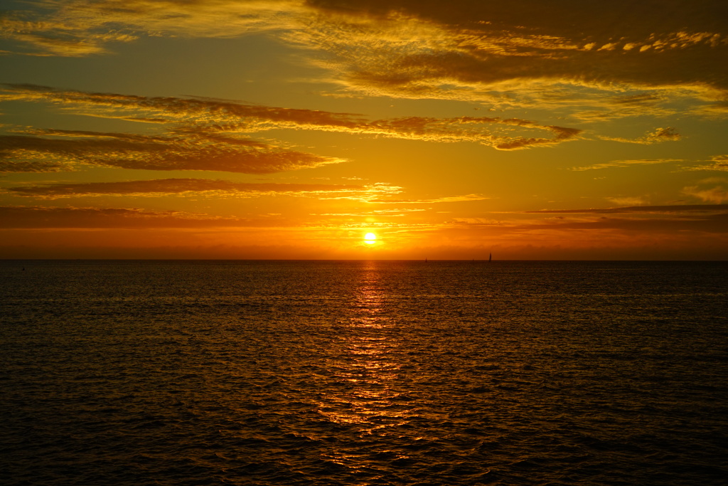 夕日
