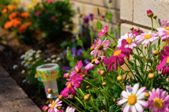 Gardening Flowers